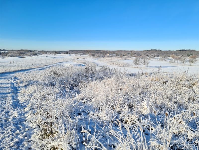 17. januar starter vi JANUAR-UDSALG