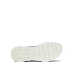 ECCO Biom C4 hybrid herre